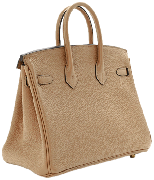 Hermès Birkin 25
