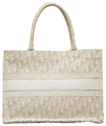 Dior Book Tote